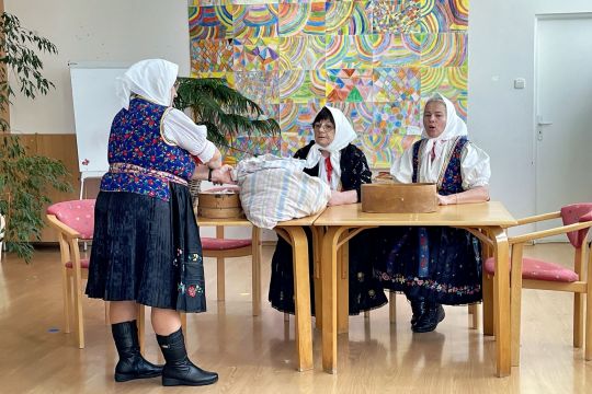12_fs_vaj_ovci_pc.jpg||