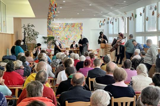 13_fs_vaj_ovci_pc.jpg||