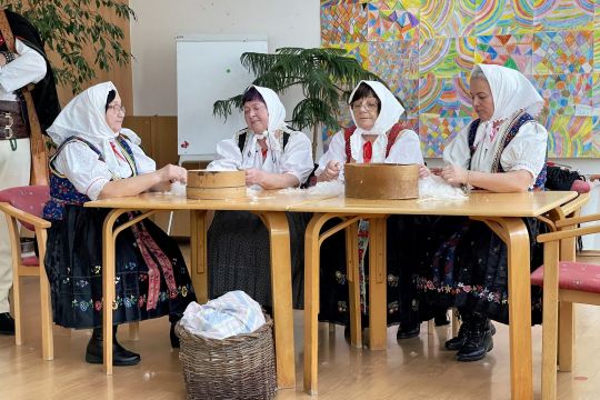 15_fs_vaj_ovci_pc.jpg||