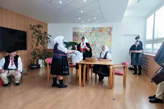 23_fs_vaj_ovci_pc.jpg||