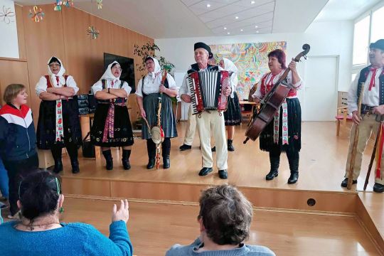 55_fs_vaj_ovci_pc.jpg||