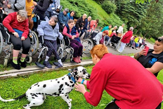 11_dogs_academy_pc.jpg||