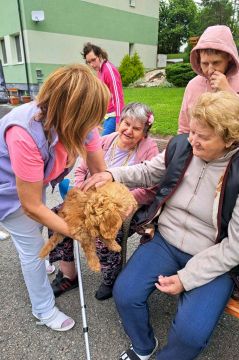21_dogs_academy_pc.jpg||
