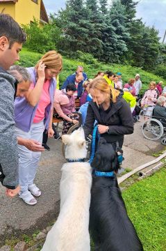 35_dogs_academy_pc.jpg||