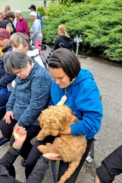 37_dogs_academy_pc.jpg||