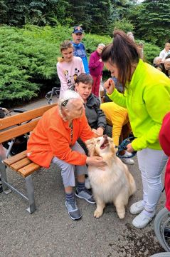 38_dogs_academy_pc.jpg||