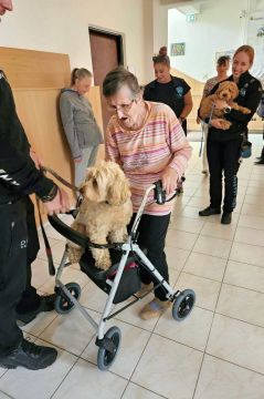 42_dogs_academy_pc.jpg||