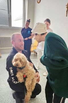 45_dogs_academy_pc.jpg||
