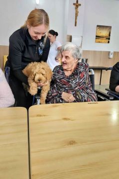 48_dogs_academy_pc.jpg||
