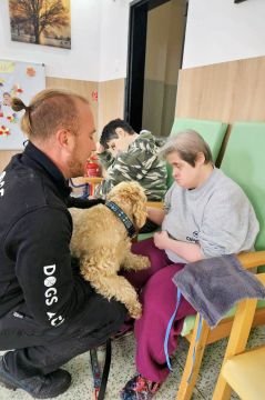 49_dogs_academy_pc.jpg||
