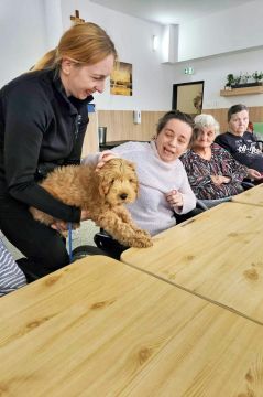 51_dogs_academy_pc.jpg||