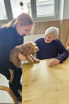 54_dogs_academy_pc.jpg||