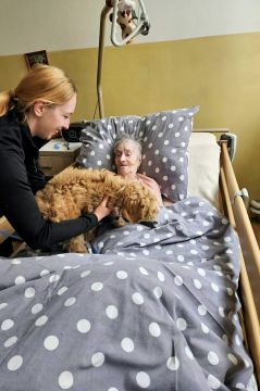 56_dogs_academy_pc.jpg||
