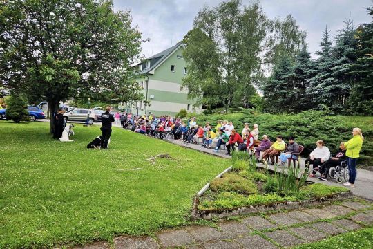59_dogs_academy_pc.jpg||