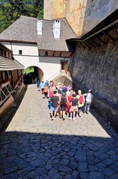 102_orava_pc.jpg||
