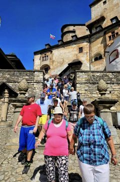 54_orava_pc.jpg||