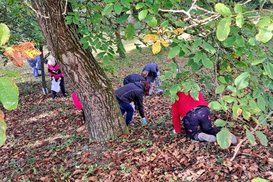 05_zber_jablk_a_orechov_pc.jpg||