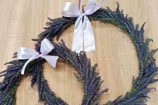 02_levandule_pc.jpg||