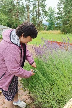 03_levandule_pc.jpg||