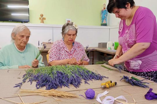 05_levandule_pc.jpg||