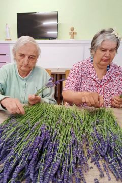 06_levandule_pc.jpg||