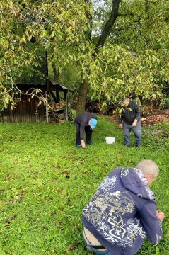 01_zber_orechov_pc.jpg||