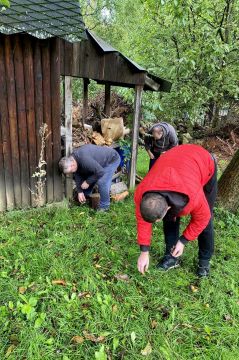 03_zber_orechov_pc.jpg||