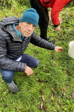 04_zber_orechov_pc.jpg||