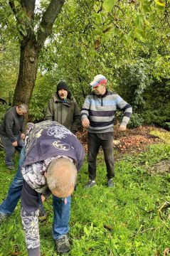 05_zber_orechov_pc.jpg||