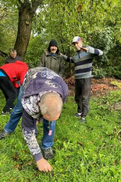 07_zber_orechov_pc.jpg||