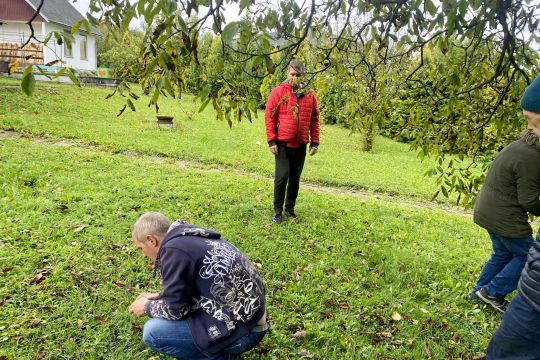 08_zber_orechov_pc.jpg||