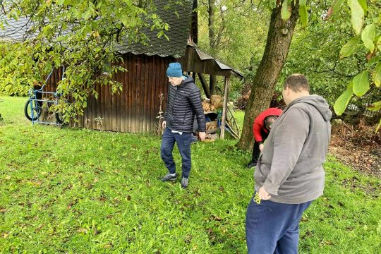 10_zber_orechov_pc.jpg||