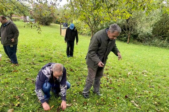 11_zber_orechov_pc.jpg||