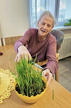 01_minizahradka_pc.jpg||