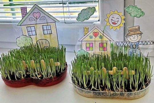 02_minizahradka_pc.jpg||