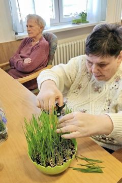 05_minizahradka_pc.jpg||