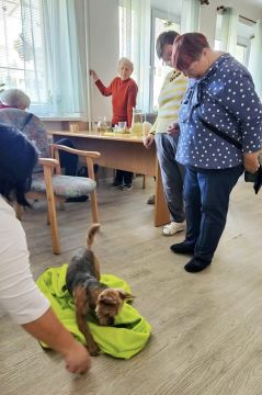 01_canisterapia_pc.jpg||