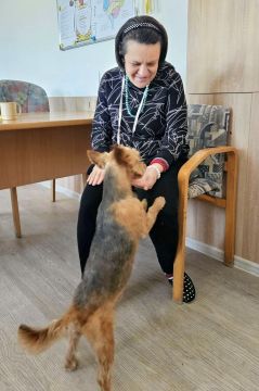 02_canisterapia_pc.jpg||