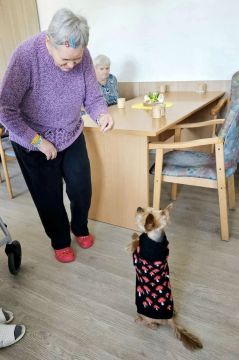 03_canisterapia_pc.jpg||