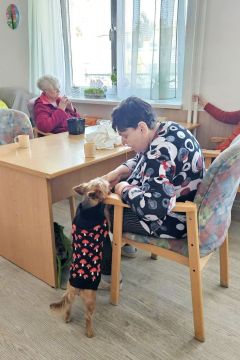 04_canisterapia_pc.jpg||