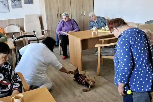 05_canisterapia_pc.jpg||