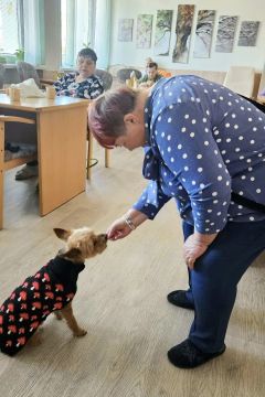 06_canisterapia_pc.jpg||