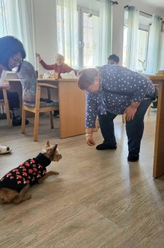 07_canisterapia_pc.jpg||