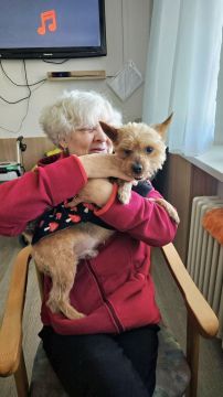 08_canisterapia_pc.jpg||