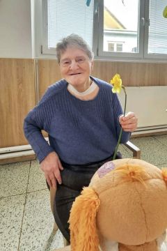 01_den_narcisov_pc.jpg||