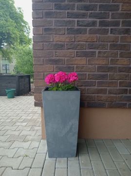1000023367.jpg||